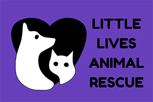 Little Lives Animal Rescue